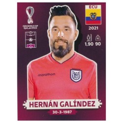 ECU3 - Hernán Galíndez (Ecuador) / WC 2022 ORYX Edition