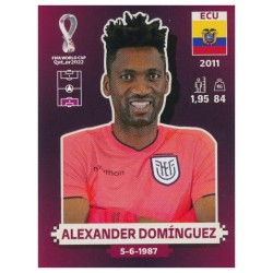 ECU4 - Alexander Domínguez (Ecuador) / WC 2022 ORYX Edition