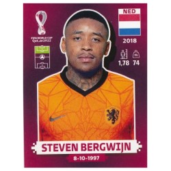 NED16 - Steven Bergwijn (Netherlands) / WC 2022 ORYX Edition