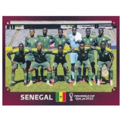SEN1 - Team Shot (Senegal) / WC 2022 ORYX Edition